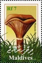 This mushroom on a stamp
