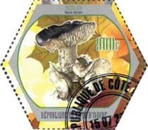 This mushroom on a stamp