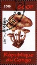 Pilz auf Briefmarke