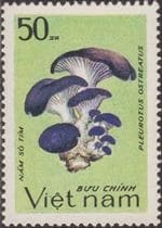 Pilz auf Briefmarke