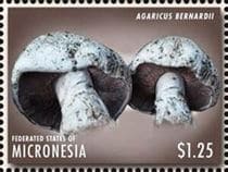 This mushroom on a stamp