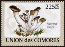 This mushroom on a stamp
