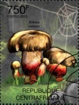 This mushroom on a stamp