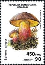 This mushroom on a stamp