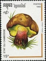 This mushroom on a stamp