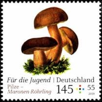 This mushroom on a stamp