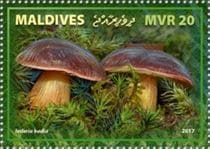 This mushroom on a stamp