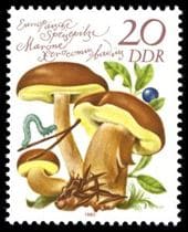 This mushroom on a stamp