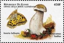 This mushroom on a stamp