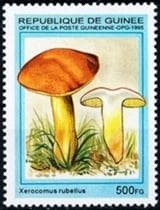 This mushroom on a stamp