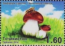 This mushroom on a stamp