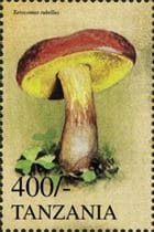 This mushroom on a stamp