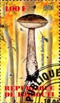 This mushroom on a stamp