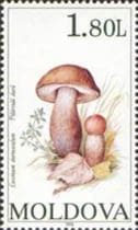 This mushroom on a stamp