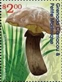 Pilz auf Briefmarke