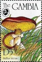 Pilz auf Briefmarke