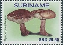 Pilz auf Briefmarke