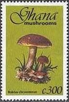 Pilz auf Briefmarke