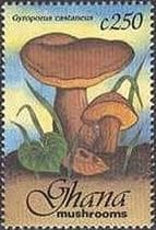 Pilz auf Briefmarke