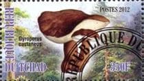 Pilz auf Briefmarke