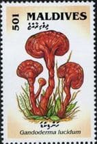 A gomba bélyegen