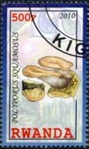 This mushroom on a stamp