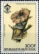 This mushroom on a stamp