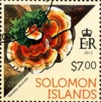 This mushroom on a stamp