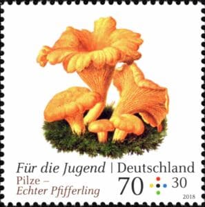 Pilz auf Briefmarke