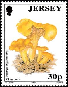 Pilz auf Briefmarke