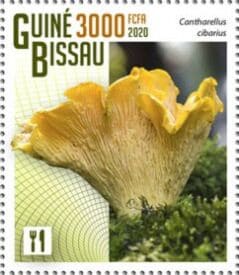 Pilz auf Briefmarke
