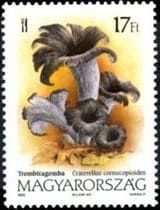 Pilz auf Briefmarke