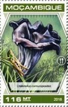 Pilz auf Briefmarke