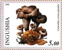 Pilz auf Briefmarke
