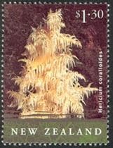 Pilz auf Briefmarke