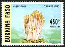 This mushroom on a stamp