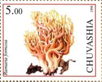 This mushroom on a stamp