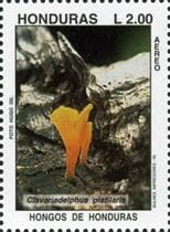 This mushroom on a stamp