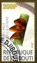 Pilz auf Briefmarke