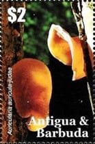 Pilz auf Briefmarke