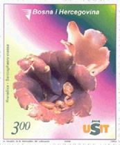 Pilz auf Briefmarke