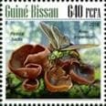 This mushroom on a stamp