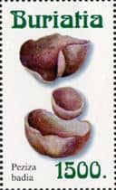 This mushroom on a stamp