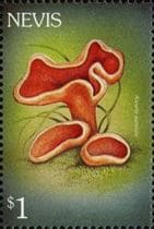 Pilz auf Briefmarke