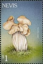 Pilz auf Briefmarke