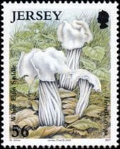 Pilz auf Briefmarke