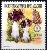 This mushroom on a stamp