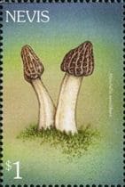 Pilz auf Briefmarke