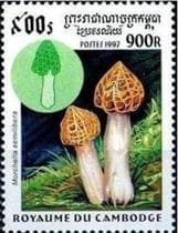 Pilz auf Briefmarke