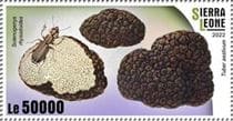 Pilz auf Briefmarke